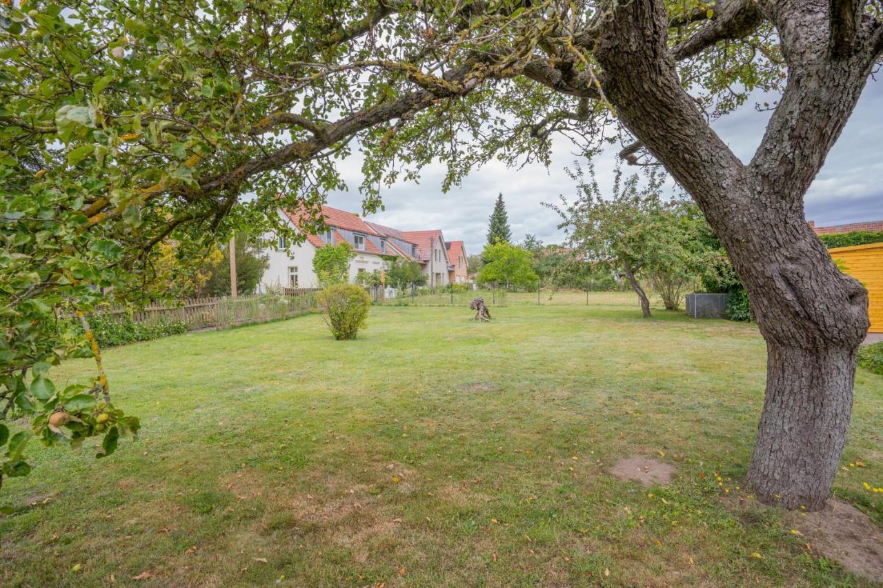 Ferienhaus "Seeadler" In Rankwitz Am Peenestrom Extérieur photo